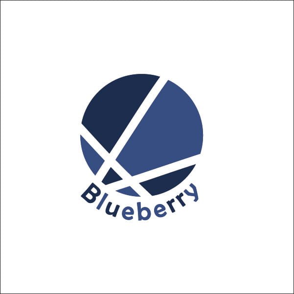 blueberry logo